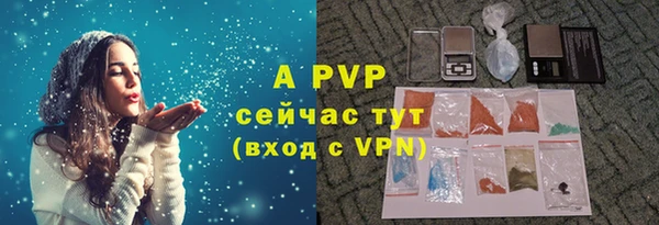 прущие грибы Нефтегорск