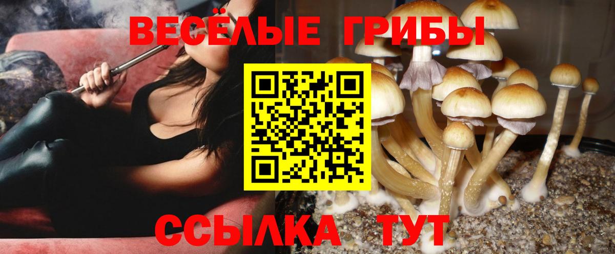 Псилоцибиновые грибы прущие грибы  Лысьва 