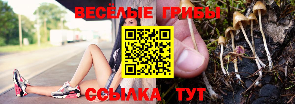 Псилоцибиновые грибы мухоморы Лысьва